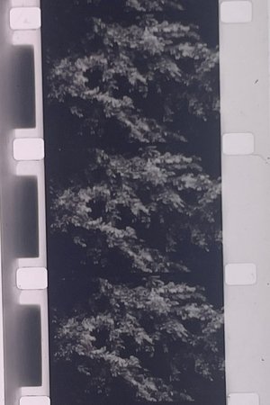 Nonton film Plotting the Grey Scale: 2 or 3 Quick Traverses (1985) terbaru sub indo Nonton film Plotting the Grey Scale: 2 or 3 Quick Traverses (1985) terbaru sub indo
