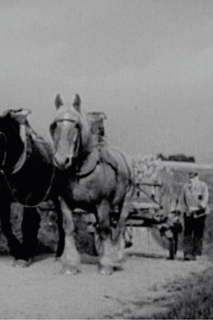 Quand chacun apporte sa part