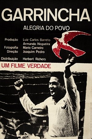 Garrincha: Hero of the Jungle Download Garrincha: Hero of the Jungle Download