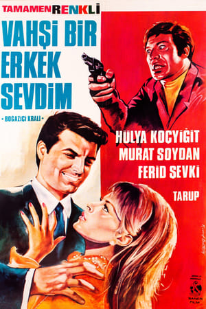Poster Vahşi Bir Erkek Sevdim (1968)
