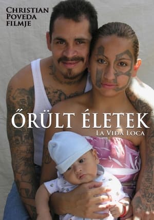 Poster Őrült életek 2008