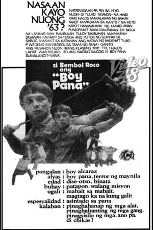 Poster Boy Pana 1978