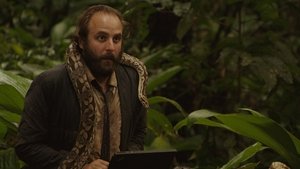 La loi de la jungle (2016)