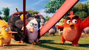 Angry Birds: Filmul (2016) – Dublat în Română