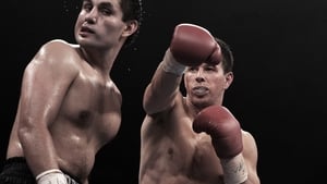 Fighter 2010 zalukaj film online