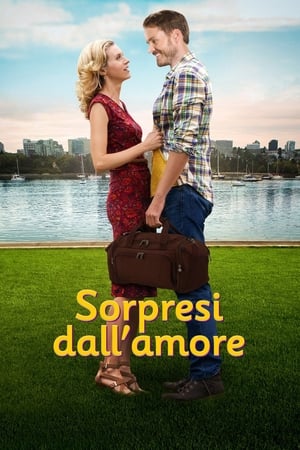 Poster Sorpresi dall'amore 2015