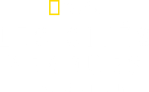 Lost Cities with Albert Lin