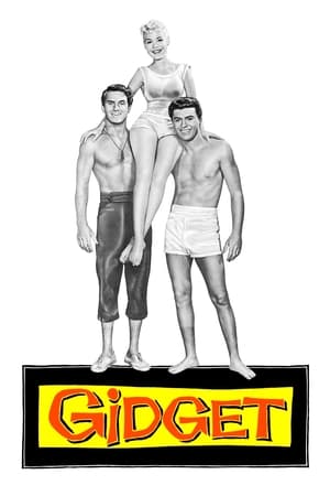 Image Gidget