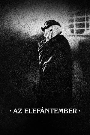 Poster Az elefántember 1980