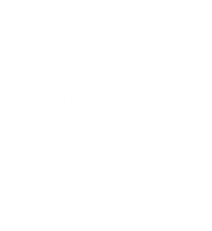Nella, Uma Princesa Corajosa — Logos 2