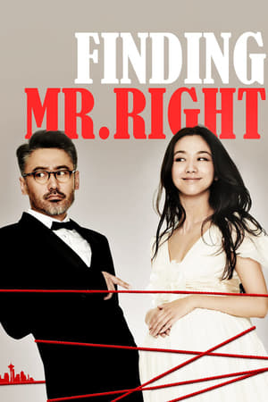 Poster Finding Mr. Right 2013