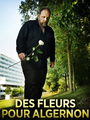 Poster Flowers for Algernon (2014)