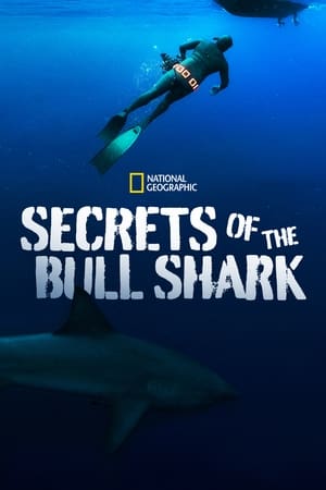 Poster Secrets of the Bull Shark (2020)