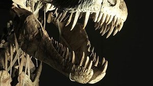 Image Dinosaurs: The Hunt for Life