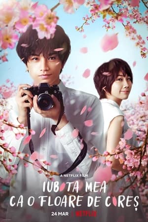 桜のような僕の恋人 (2022)