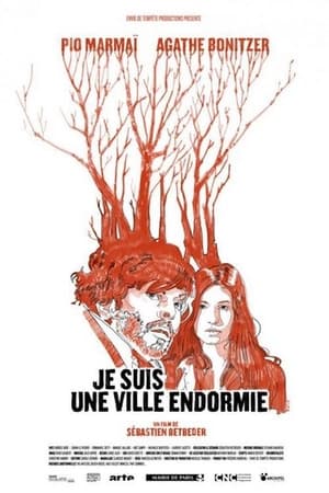 Je suis une ville endormie (2013)