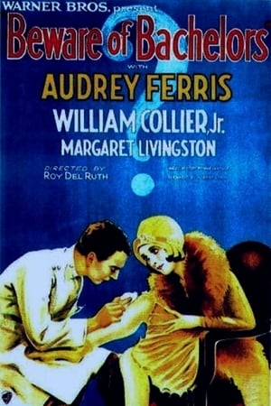 Poster Beware of Bachelors (1928)