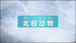 Episódio 3 - 斑马百科MINI百科