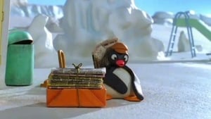 Pingu Pingu and the Daily Igloo