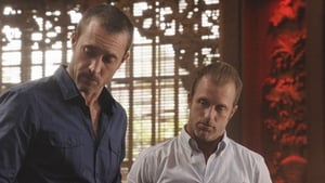 Hawaii Five-0 8 x 23