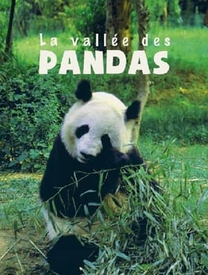 Poster La Vallée Des Pandas 2015