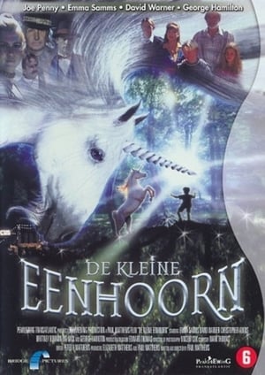Poster De Kleine Eenhoorn 2002