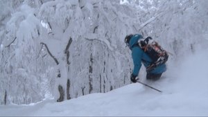 Journeys in Japan: 11×9