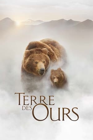 Poster Terre des ours 2014