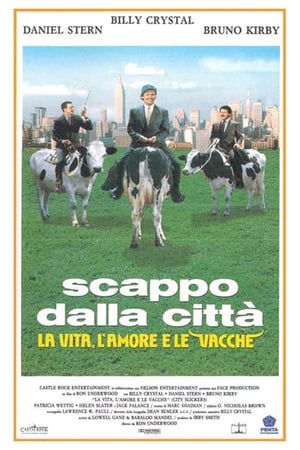 Poster Scappo dalla città - La vita, l'amore e le vacche 1991