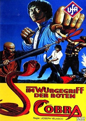 Poster Cobra 1977