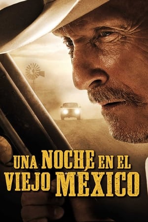 Poster Una noche en el Viejo México 2013