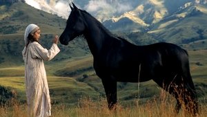 Young Black Stallion (2003)