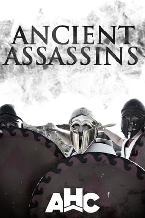 Poster Ancient Assassins 2014
