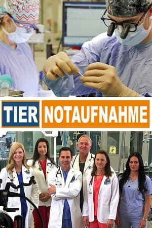 Image Tier Notaufnahme