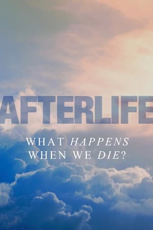 Image Afterlife