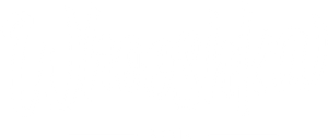 Logo Whooshka Media