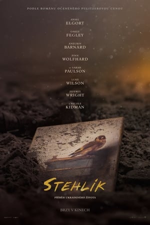 Stehlík (2019)