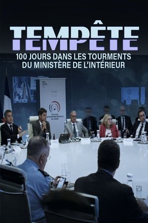 Image Tempête : 100 jours dans les tourments du ministère de l'Intérieur