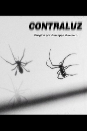 Image Contraluz