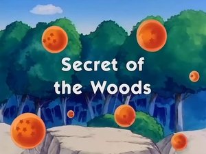 Secret of the Woods