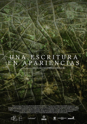 Una Escritura En Apariencias