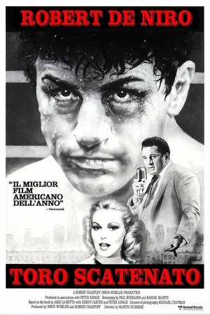 Toro scatenato (1980)