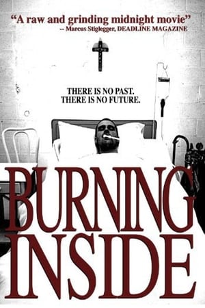 Poster Burning Inside (2010)