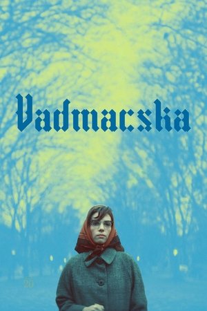 Image Vadmacska