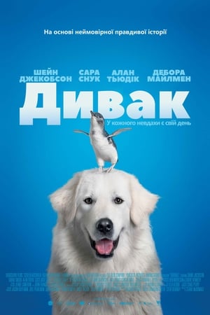 Poster Дивак 2015