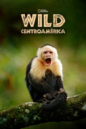 Image Wild Centroamérica