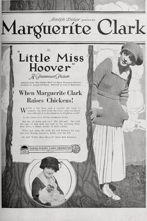 Little Miss Hoover