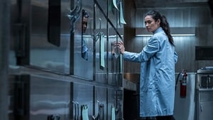 The Possession of Hannah Grace Hindi Dubbed 2018