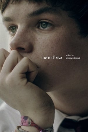 Poster The Red Bike (2011)