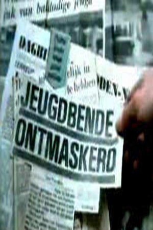 Poster de Allemaal Tuig